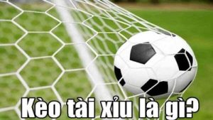 Kèo tài xỉu 2.75 – Cách chơi và kinh nghiệm đặt cược hiệu quả